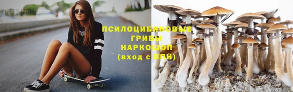таблы Нея