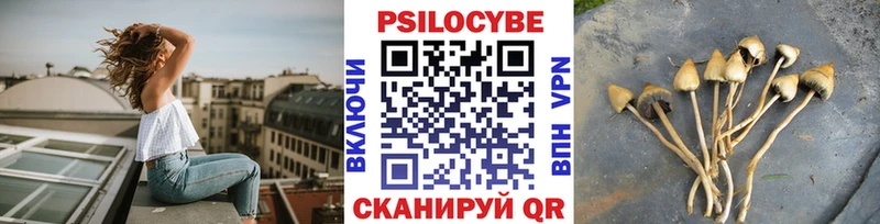 Купить Далматово Псилоцибиновые грибы Magic Shrooms